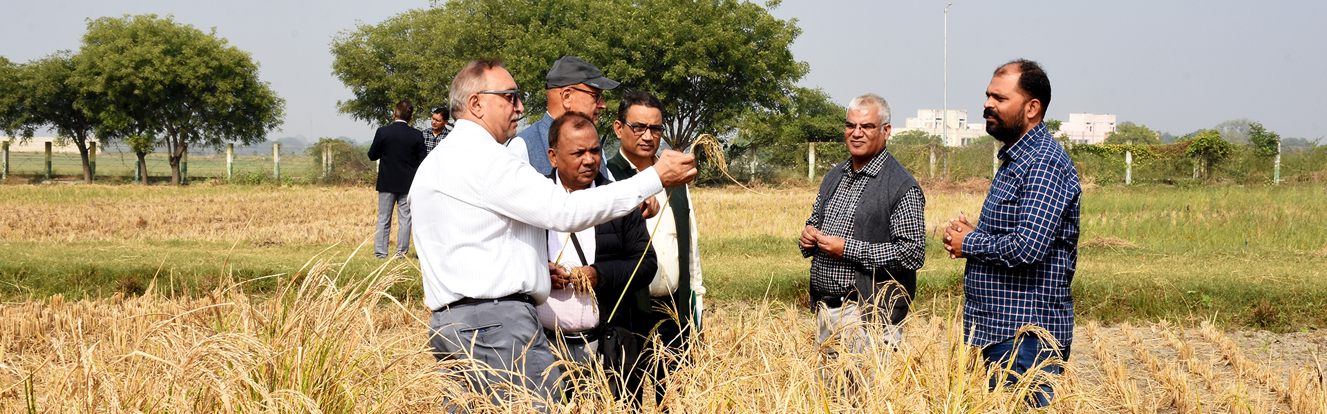 उत्तर प्रदेश कृषि अनुसंधान परिषद
