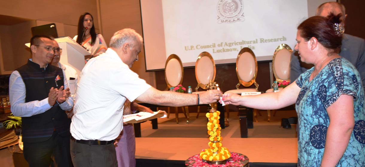 Uttar Pradesh Agricultural Education, Research &amp; Extension Version/  उत्तर प्रदेश कृषि शिक्षा, अनुसंधान एवं विस्तार संस्करण